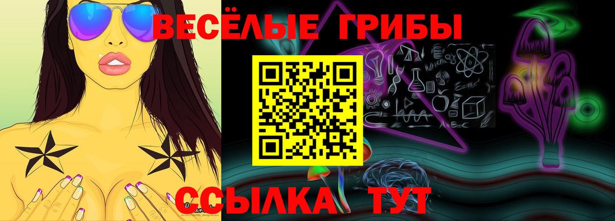 Галлюциногенные грибы Magic Shrooms  Вход с VPN  Галлюциногенные грибы Psilocybine cubensis  Волхов 