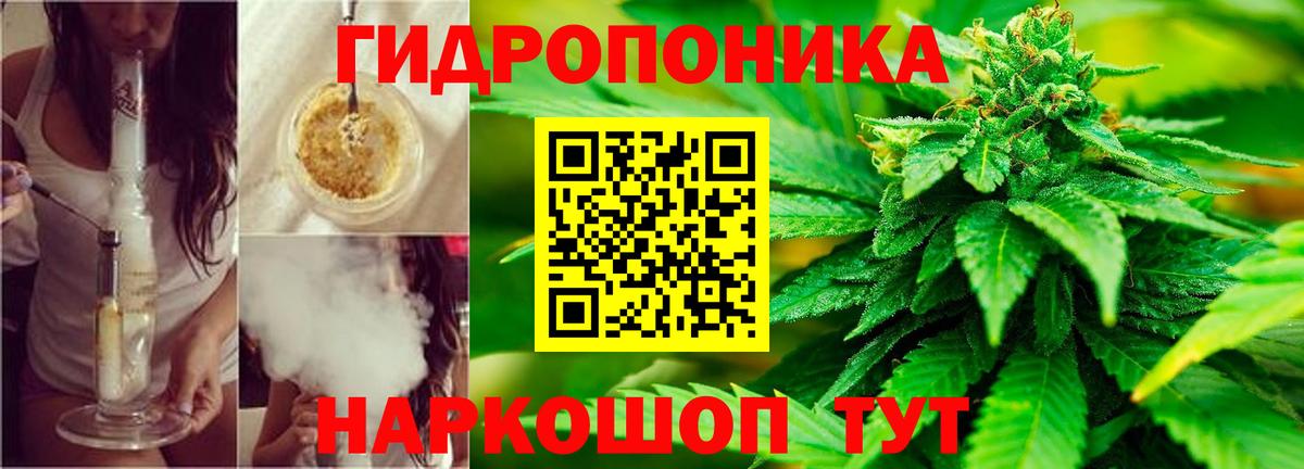 Канабис семена  Бошки марихуана тримм  Вход с VPN  Шишки марихуана сатива  Волхов  Бошки Шишки конопля 